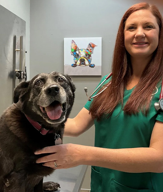 Dog Boarding with Vets in Baldwin County, Alabama
