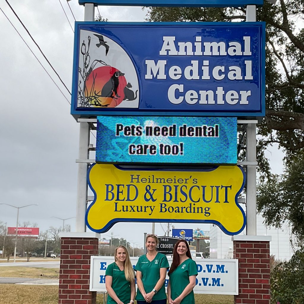 Doggie Daycare in Baldwin County, Alabama